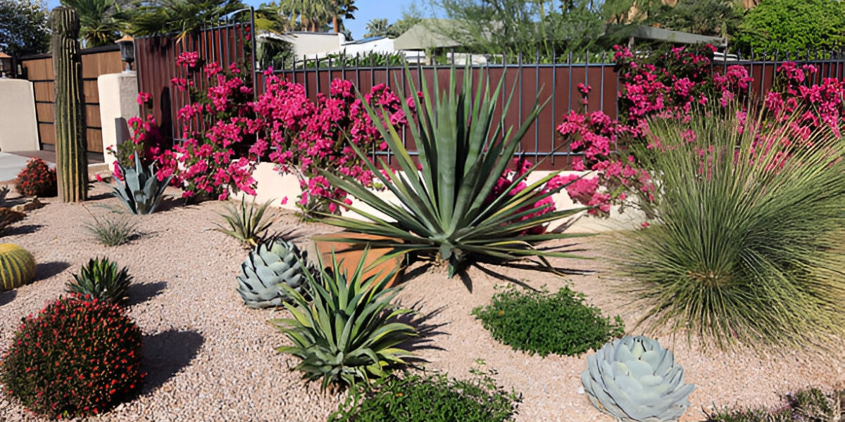 Xeriscaping Guide – Landscaping with Drought Tolerant & Resistant Plants