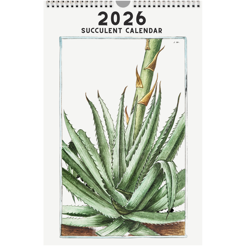 succulent wall calendar 2026 Succulent Calendar