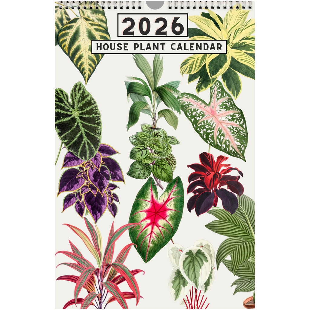house plant covers 2026 House Plant Calendar – Planet Desert