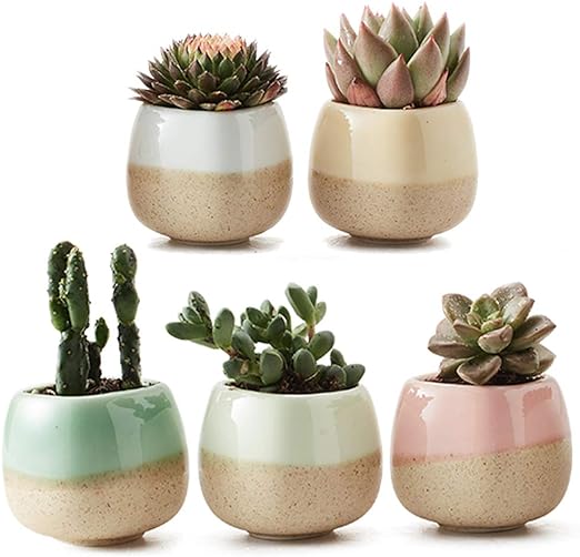 cute pots for succulents Ceramic Succulent Planter with Flowing Glaze