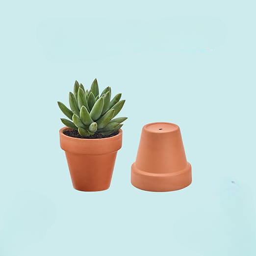 clay plant pot Small 2-Inch Terracotta Pot with Drainage Holes for Succulent Plants, Indoors or Outdoors