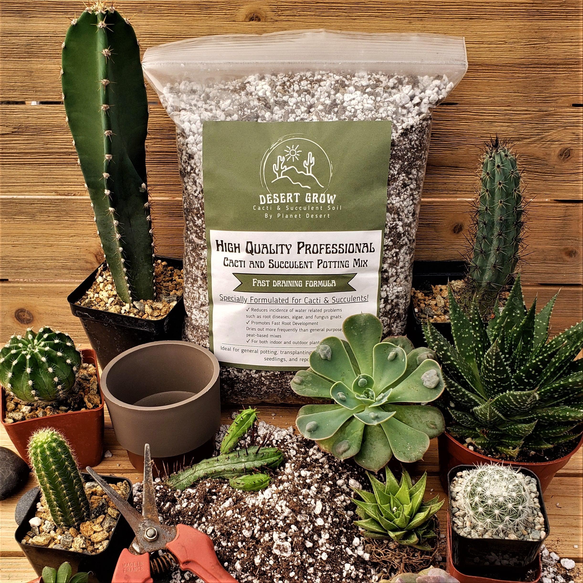 Cactus and Succulent Soil Mix – Planet Desert