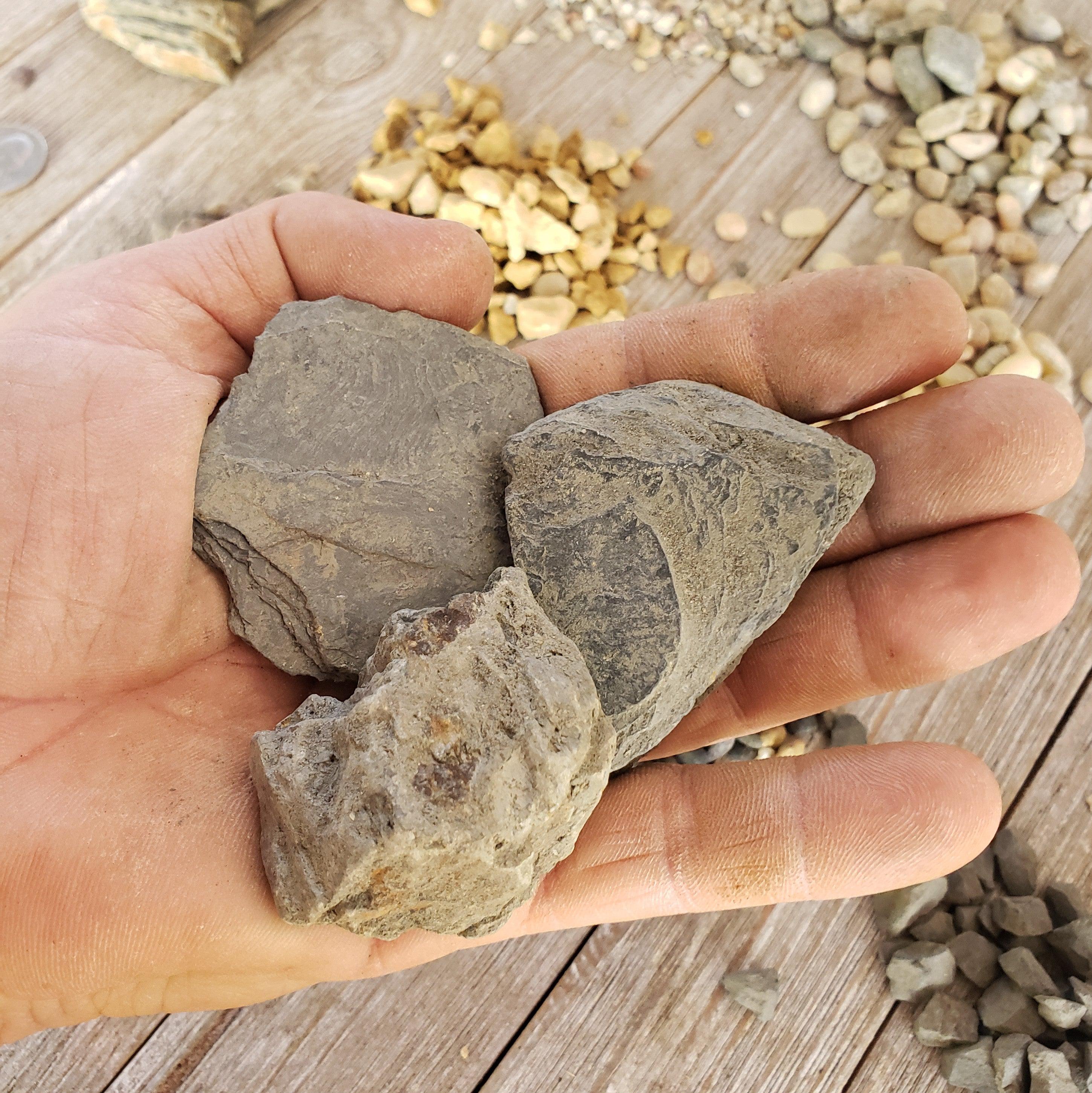 rocks for succulent drainage 1 Lb Mini Slab River Rock Cactus and Succulent Top Soil Dressing