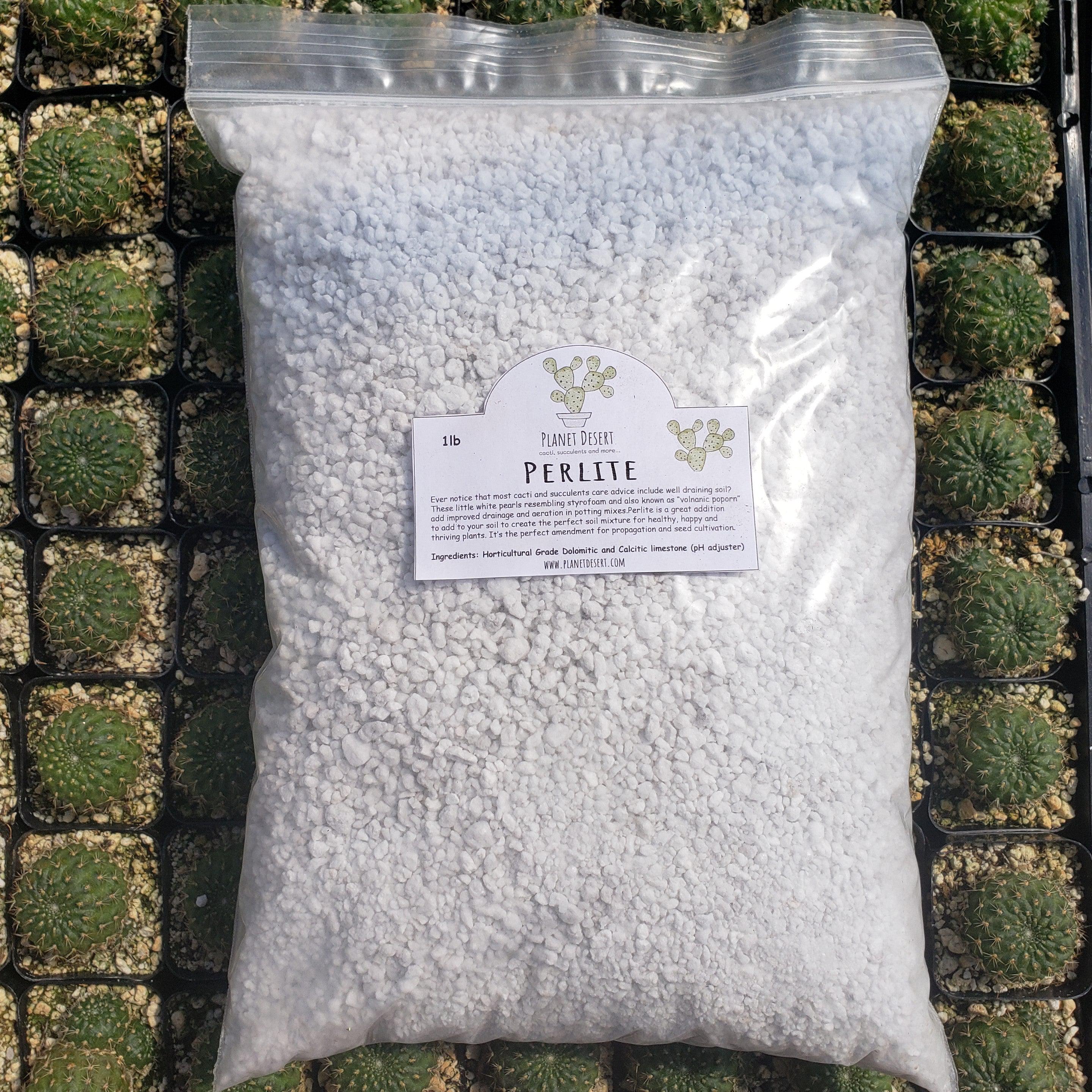 is perlite good for succulents Perlite 4 Quarts porosity soil amendment for cactus and succulents – Planet Desert