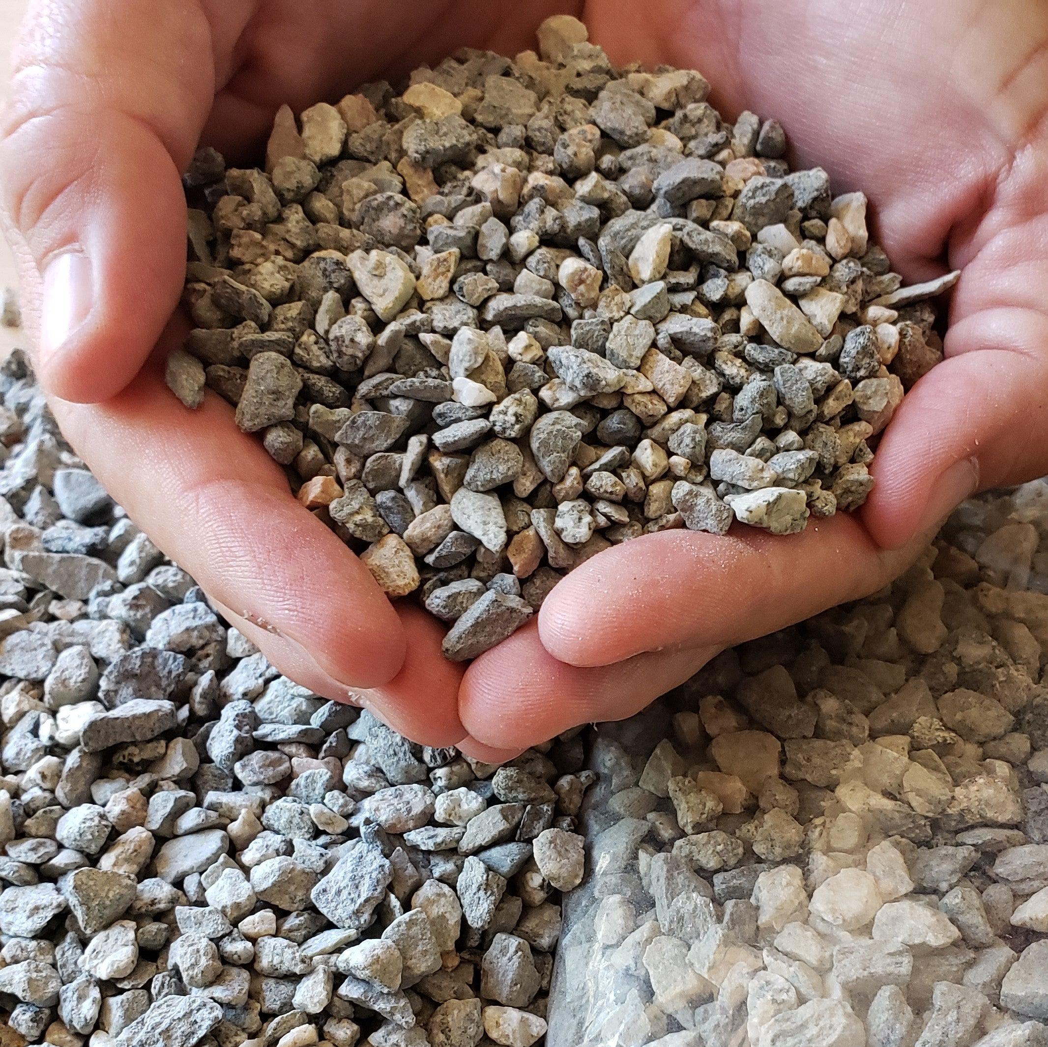 can you use top soil for succulents 1 Lb Cactus and Succulent Top Soil Dressing