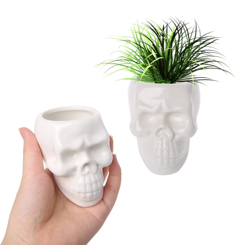 skull with succulents Skull Ceramic Flower succulent cactus Pot