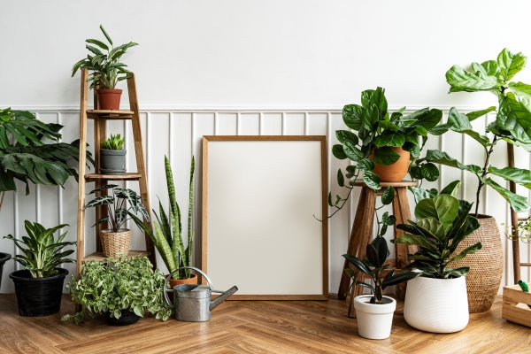Top 20 Gifts for Plant Lovers 2023