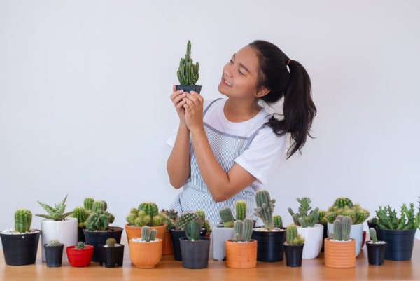 Cactus 101: Cactus Care & Everything Else You Need to Know About Cactus Plants!