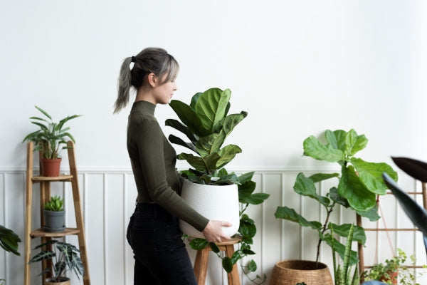 happy-woman-carrying-houseplant