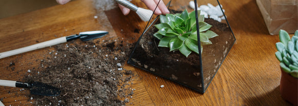 Plant Supplies & Accessories