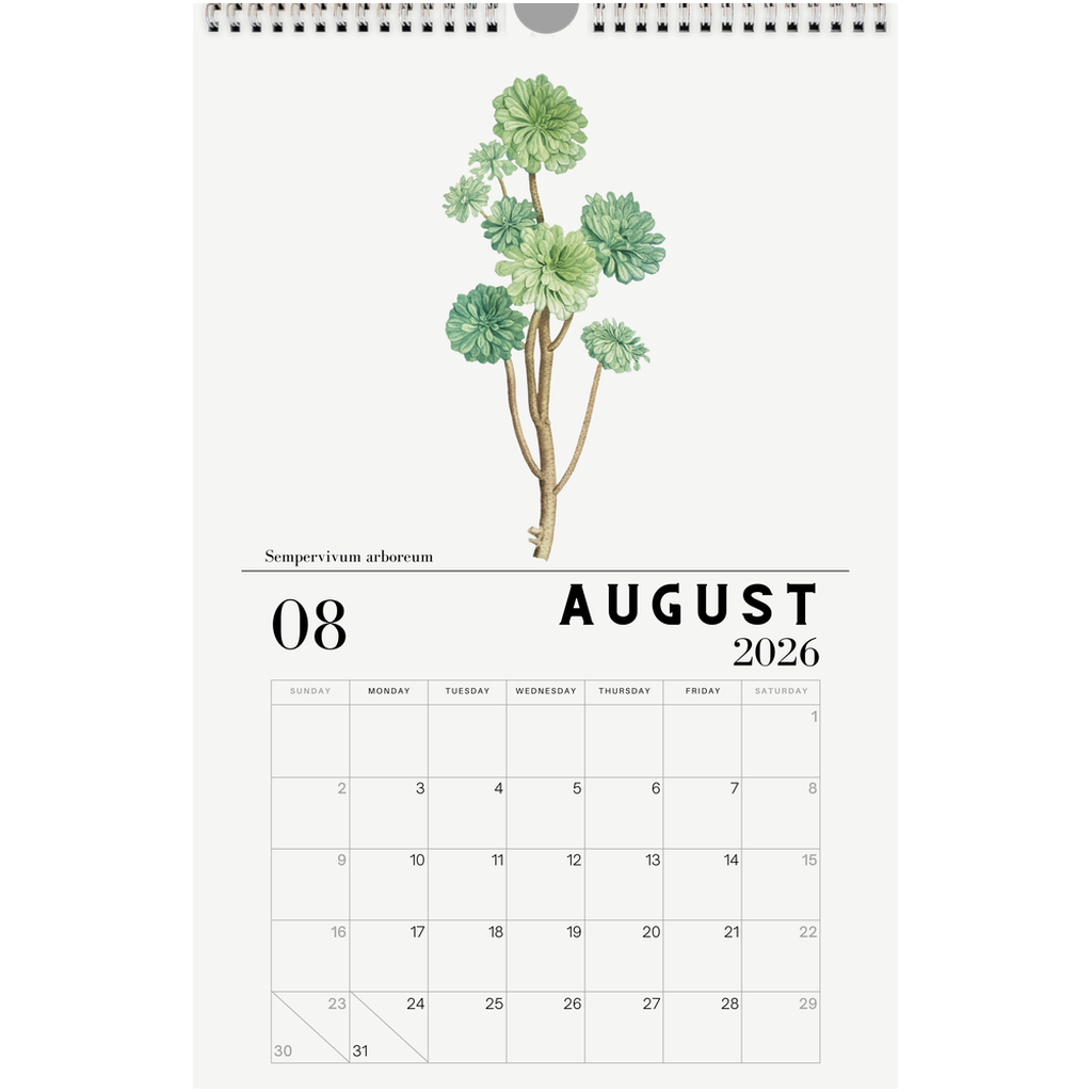 2026 Succulent Calendar – Planet Desert