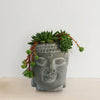 Gray ceramic Buddha head planter with lush green succulents, some trailing and blooming, creating a calm indoor display on a light background.