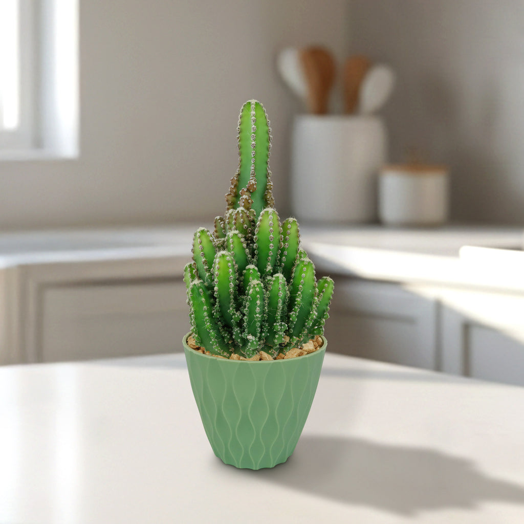 Potted indoor plant with glossy green leaves beside a small Buddha statue