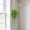 String of Pearls &