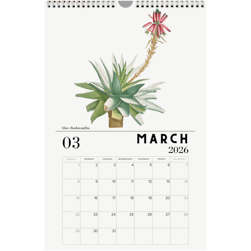 2026 Succulent Calendar – Planet Desert