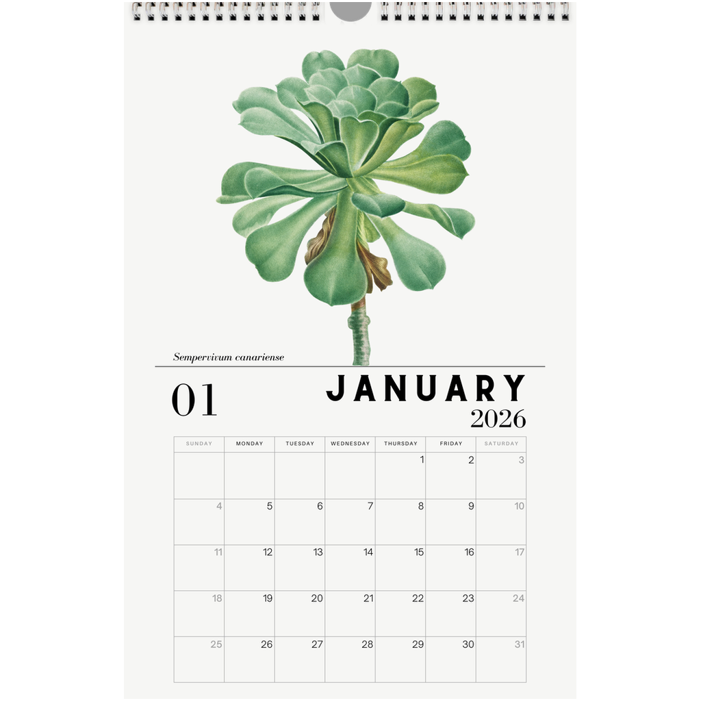 2026 Succulent Calendar – Planet Desert