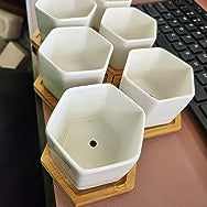 White Ceramic Succulent Planters with Bamboo Tray - Stylish Home and Office Decor