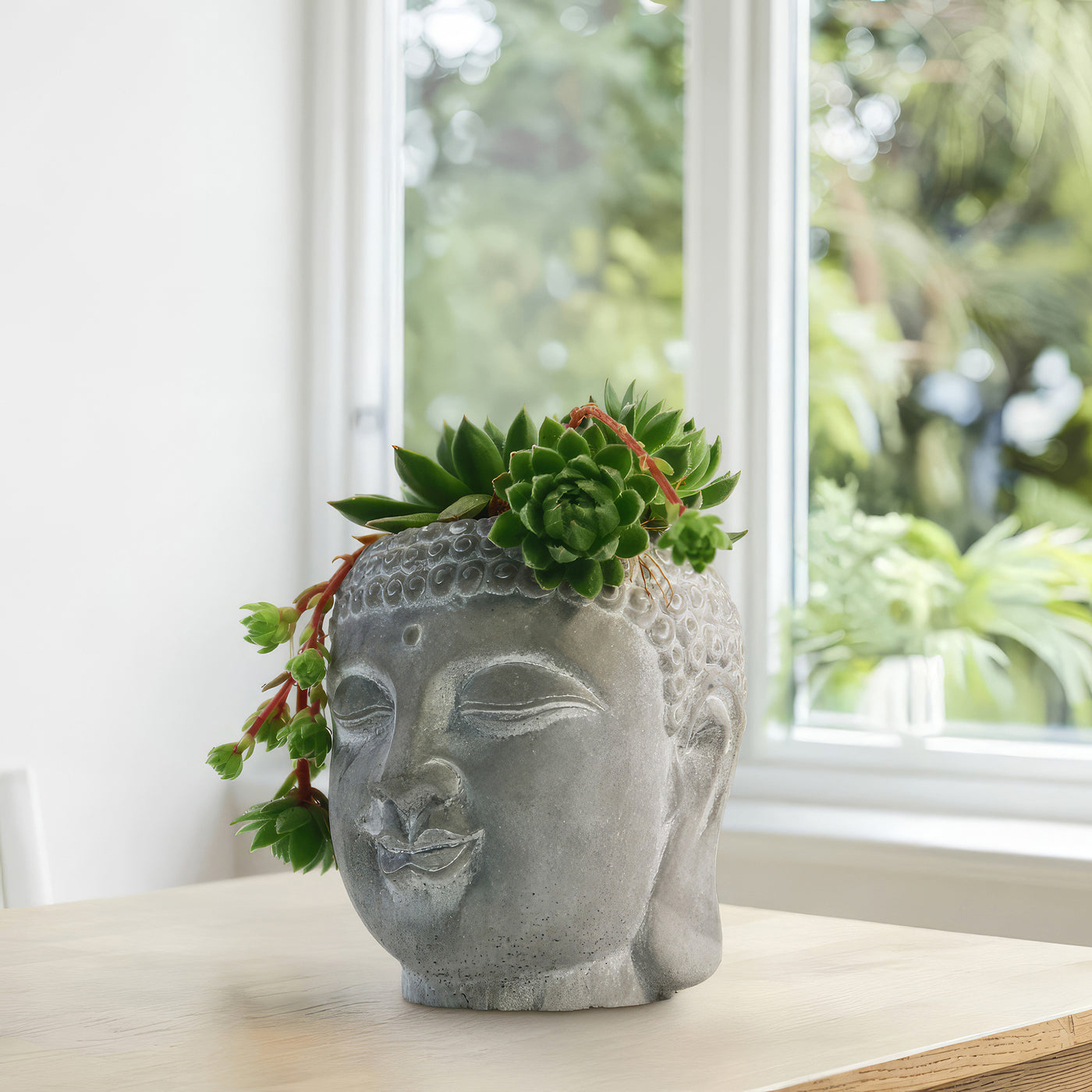 buddha succulent planter Buddha's Head With Live Indoor Plants 3" Pot / With Common Houseleek