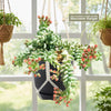 Burro’s Tail Succulent in a dark pot with trailing stems and pink buds, hanging in a macrame holder by a sunny window.