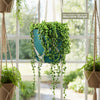 String of Pearls &
