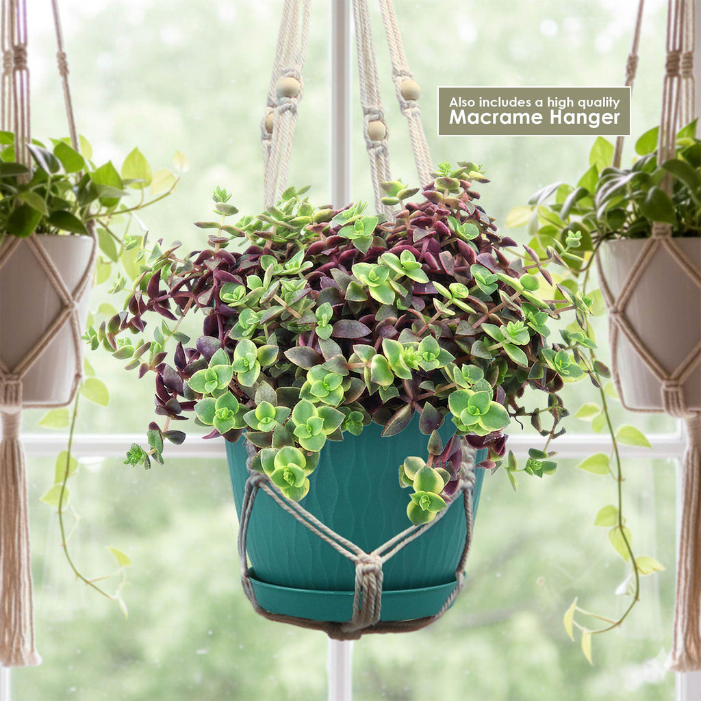 patrol_placeholder_a6ead9acc5af34cb22c78a05ed144ef7