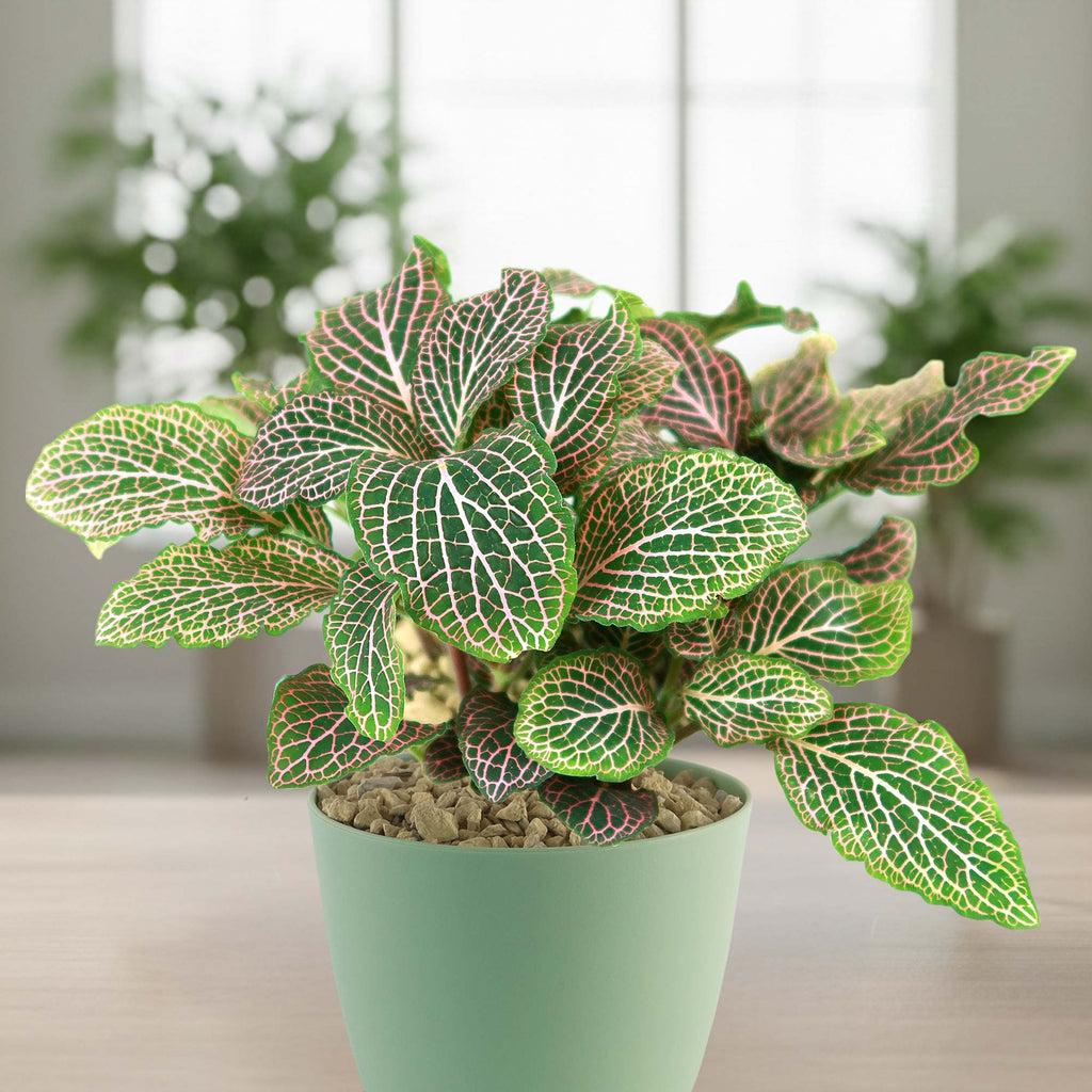 patrol_placeholder_a6ead9acc5af34cb22c78a05ed144ef7