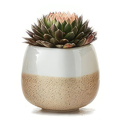 2.2-Inch Ceramic Succulent Planter with Flowing Glaze - Ideal for Cacti and Flowers