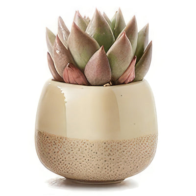 2.2-Inch Ceramic Succulent Planter with Flowing Glaze - Ideal for Cacti and Flowers