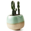 Ceramic Succulent Planter with Flowing Glaze - Ideal for Cacti and Flowers