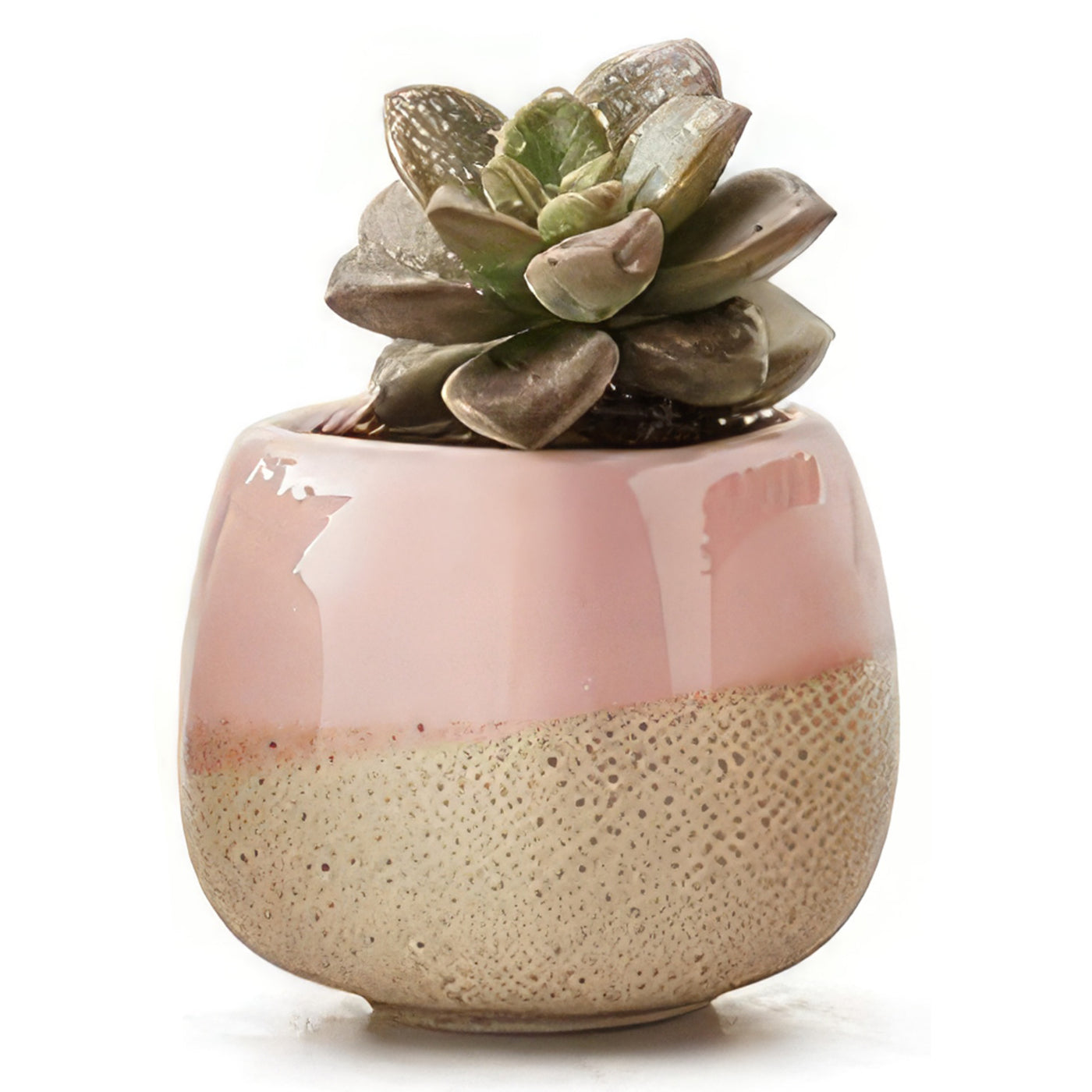 pink succulent pot Ceramic Succulent Planter with Flowing Glaze