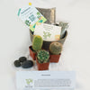 3 Cacti Taupe DIY Kit