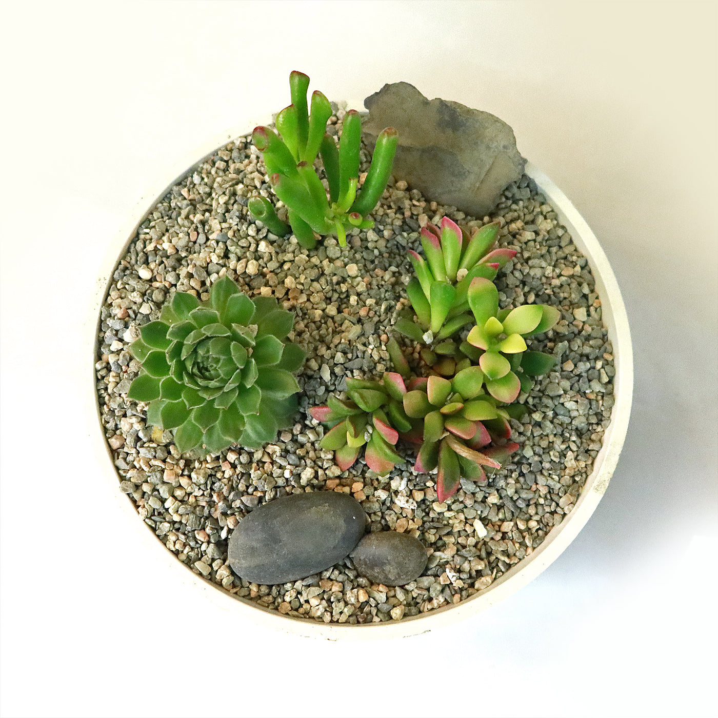 rocks in succulent pot 3 Succulent Capri White DIY Kit – Planet Desert