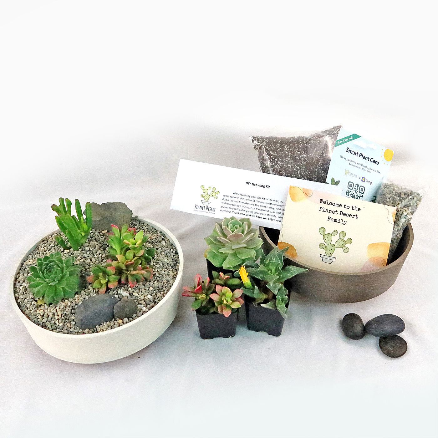 3 Succulent Capri White DIY Kit