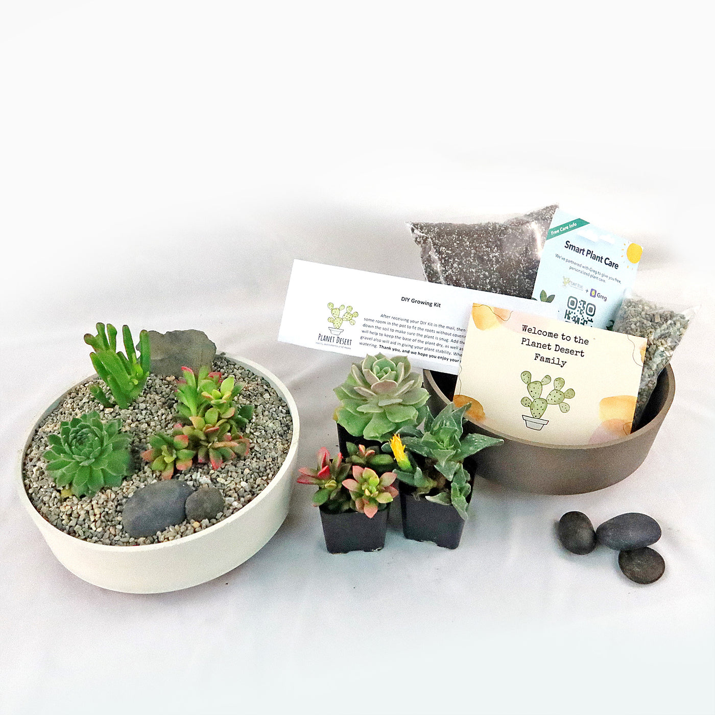 smart planet succulents 3 Succulent Capri White DIY Kit – Planet Desert