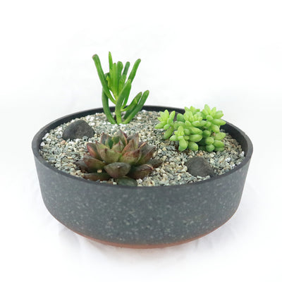 3 Succulent Concrete Capri DIY Kit