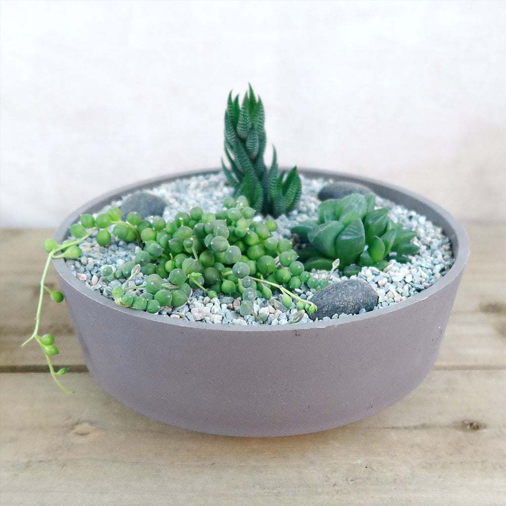 3 Succulent Taupe DIY Kit