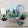 3 Succulent Taupe DIY Kit