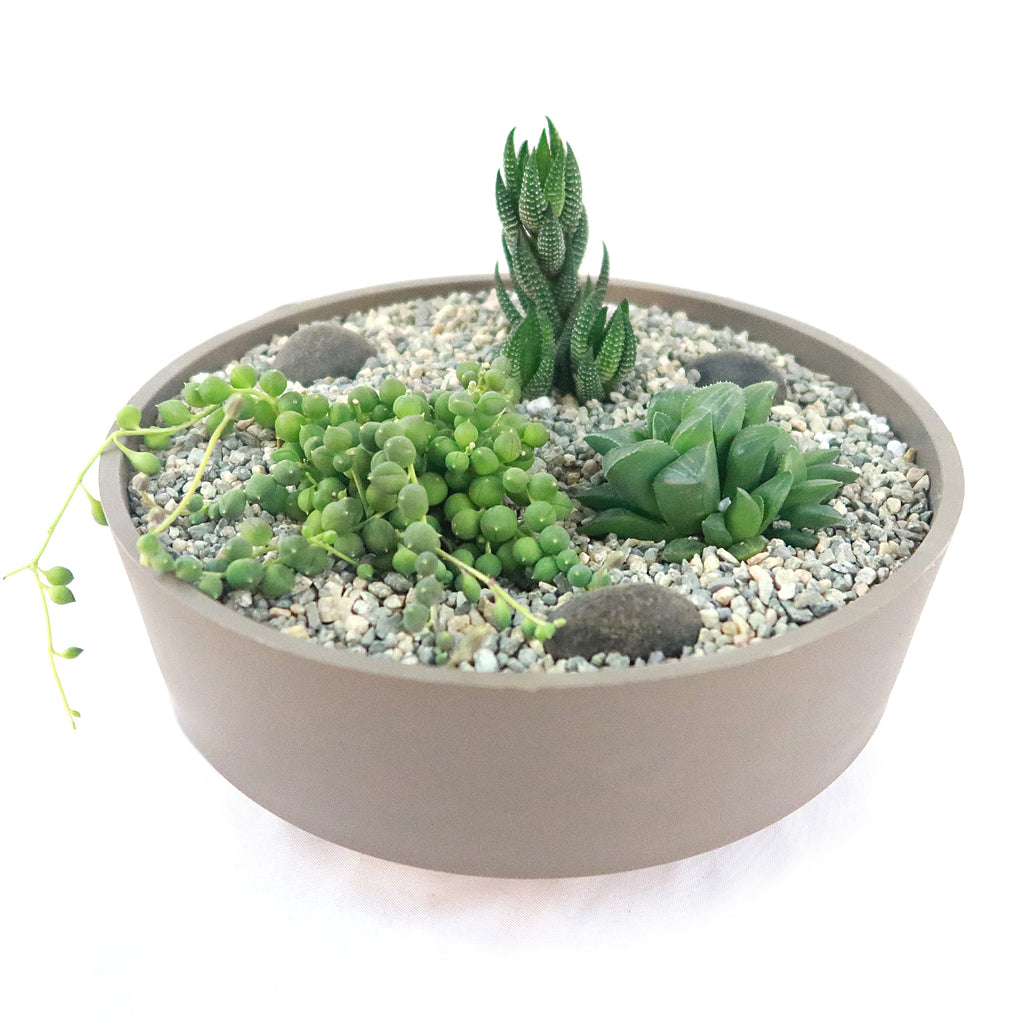 3 Succulent Taupe DIY Kit