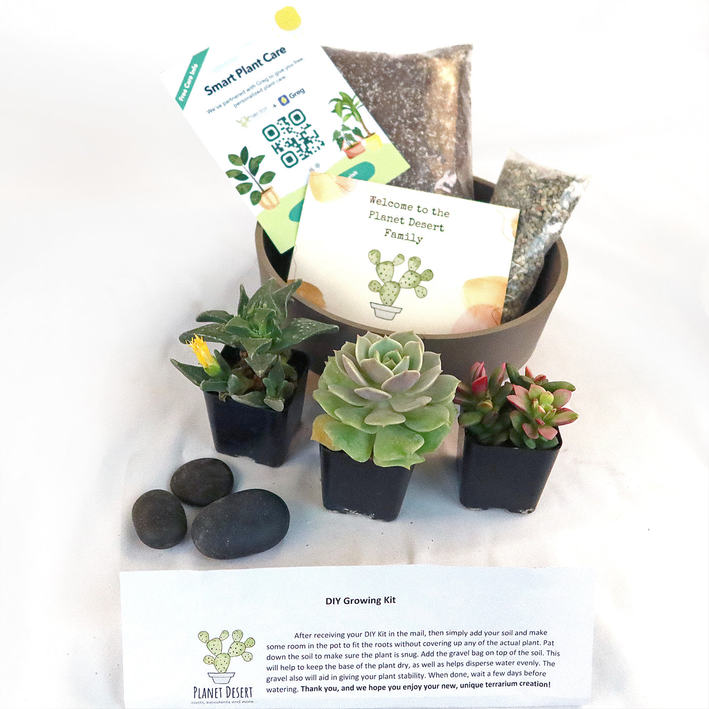 succulent upgrade 3 Succulent Taupe DIY Kit