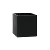 Gift Square Pot w/ Cactus or Succulent