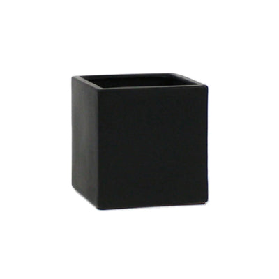 Gift Square Pot w/ Cactus or Succulent