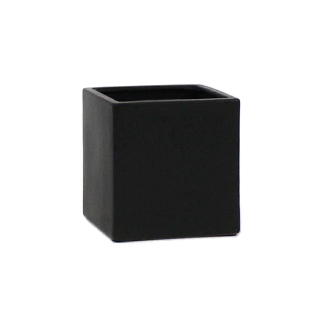 Gift Square Pot w/ Cactus or Succulent