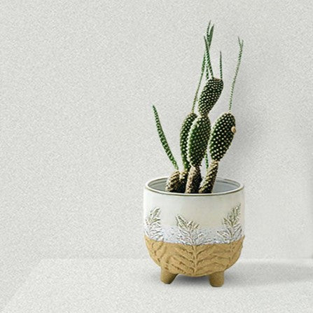 small cream plant pots Fern Print Cream & Sand two toned footed Pot