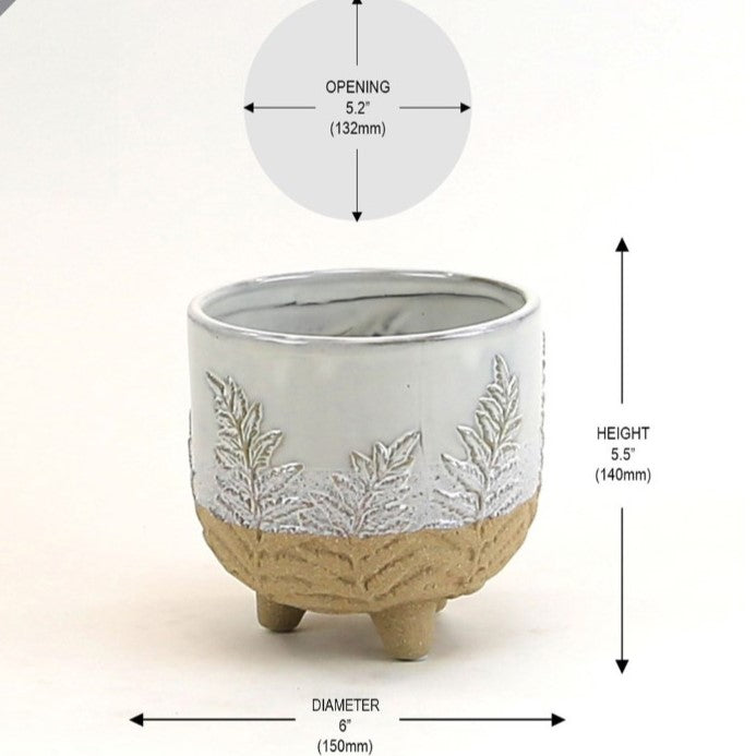 Fern Print Cream & Sand two toned footed Pot