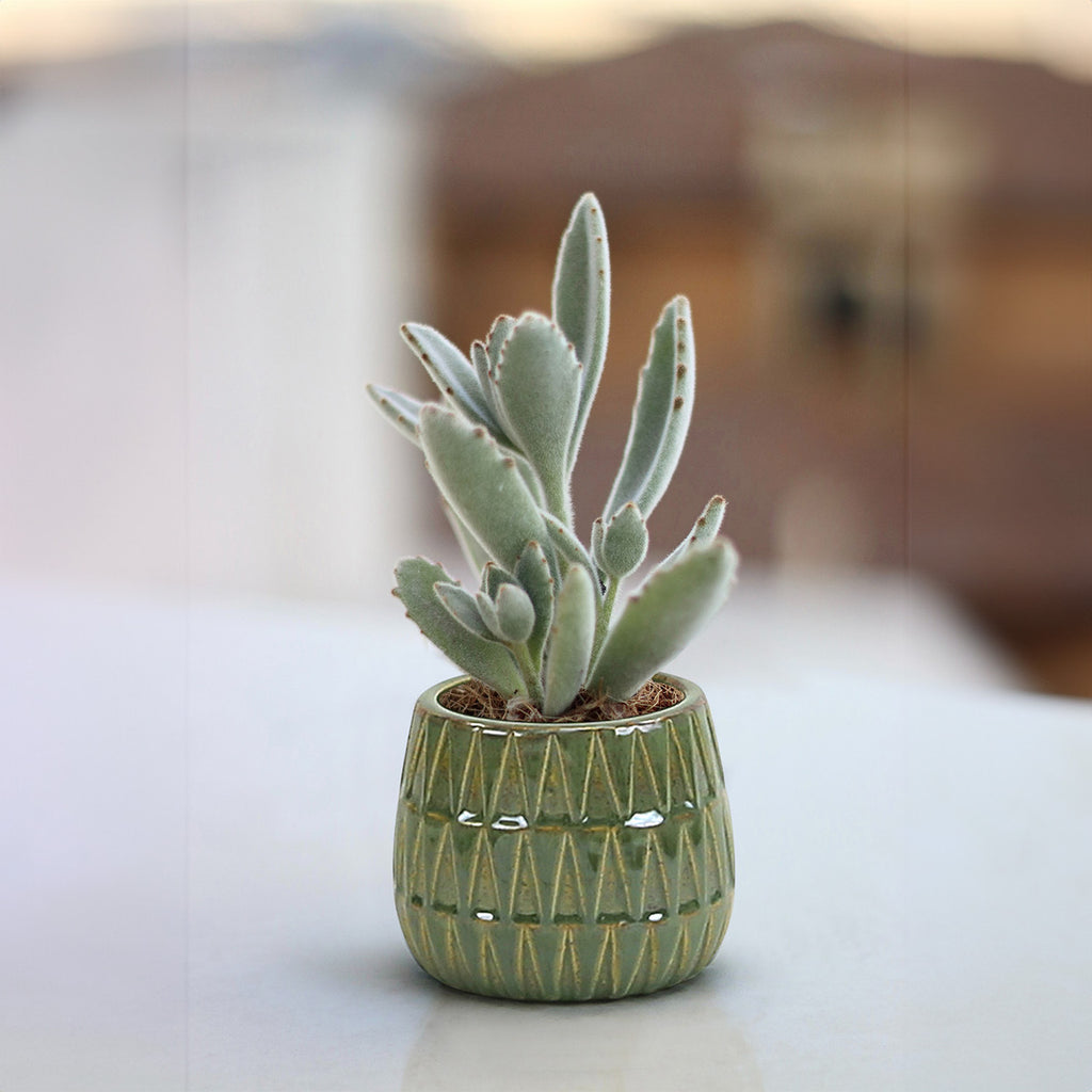 Triangular Print Reactive Glazed Pot