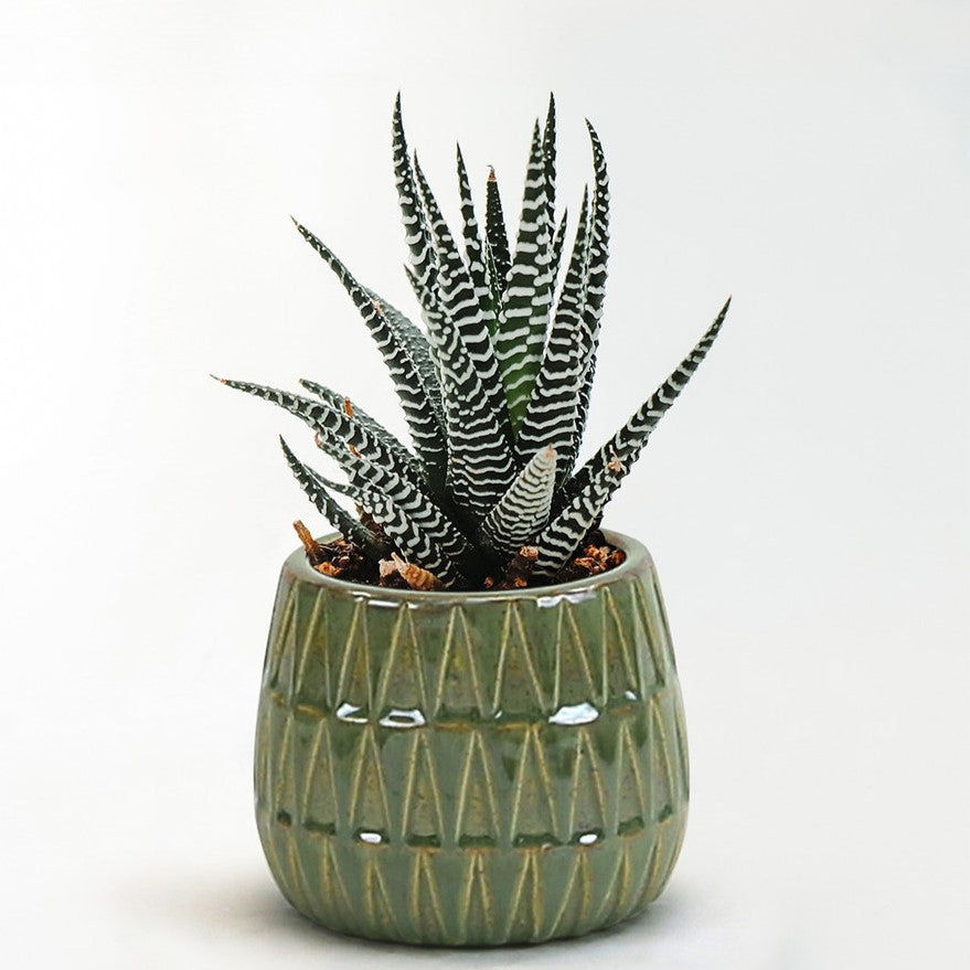 Triangular Print Reactive Glazed Pot