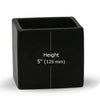 Gift Square Pot w/ Cactus or Succulent