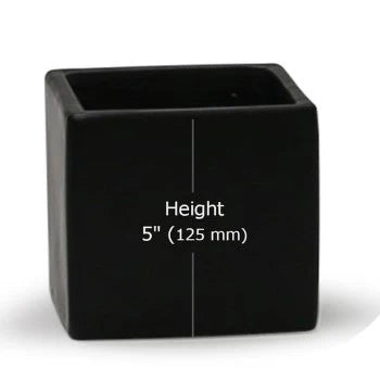 Gift Square Pot w/ Cactus or Succulent
