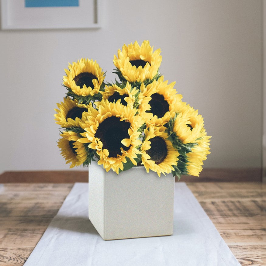 Ceramic Square Cube Pot
