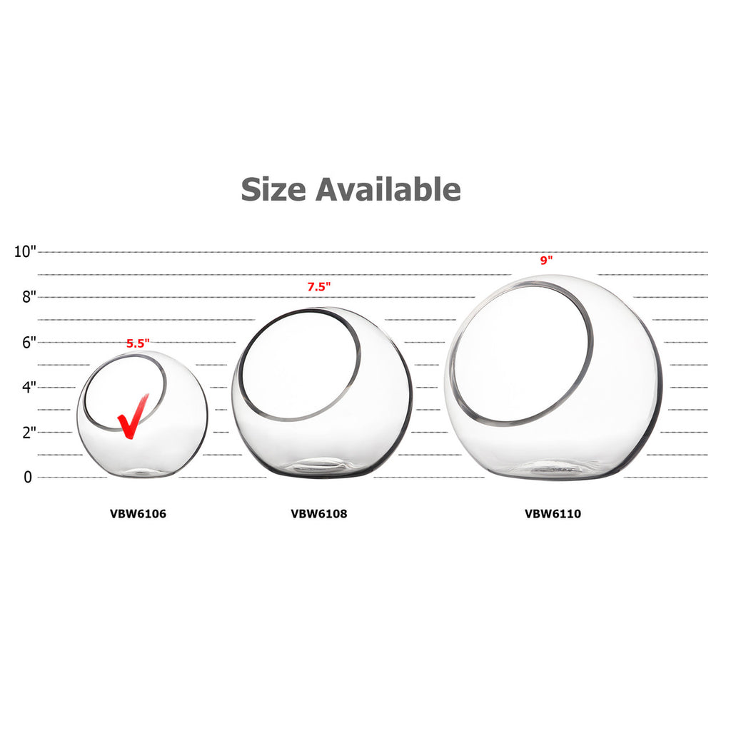 Bubble Bowl Vase Terrarium